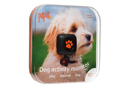 Pitpat hotsell dog monitor